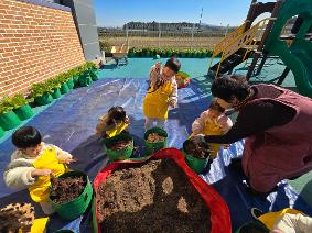 별빛누리유치원, 우리가 심고 기른 고구마를 수확해요