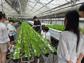 지역 농산물로 배우고 미래 농업을 만나다...안성교육지원청, 여름방학 안성맞춤 온동네 가족체험 프로그램 운영