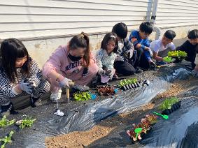4.2 텃밭 교육 활동